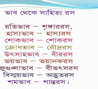 সাহিত্য রস