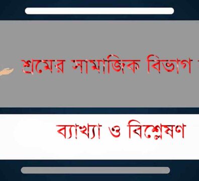 শ্রমের সামাজিক বিভাগ