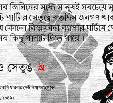 মানব জাতি