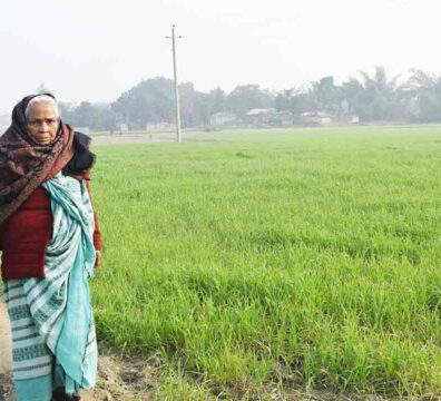 লোকশিল্পী ও ভূমিকন্যা শাহেরা খাতুন ফসলের খেতের মাঝখানে হাঁটছেন