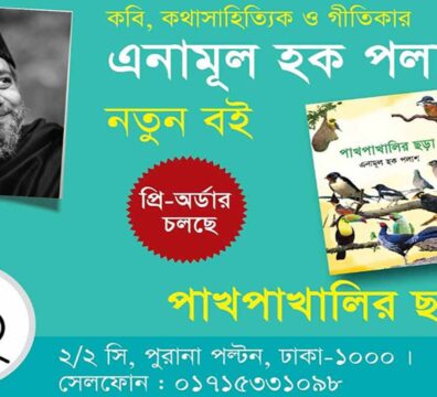 লেখক এনামূল হক পলাশ